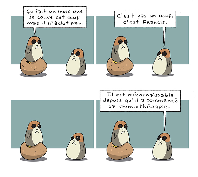 porgchimiores